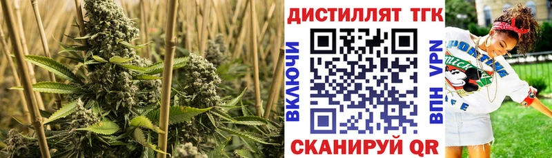 ТГК Wax  Волгореченск 